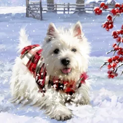 Käthe Wohlfahrt Adventskalender "Hunde-Weihnacht" Outlet