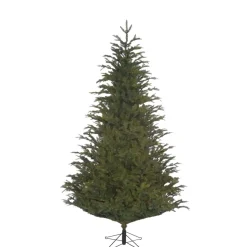 Käthe Wohlfahrt Baum Frasier Fir Grun, 215 Cm Clearance