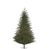 Käthe Wohlfahrt Baum Frasier Fir Grun, 185 Cm Best