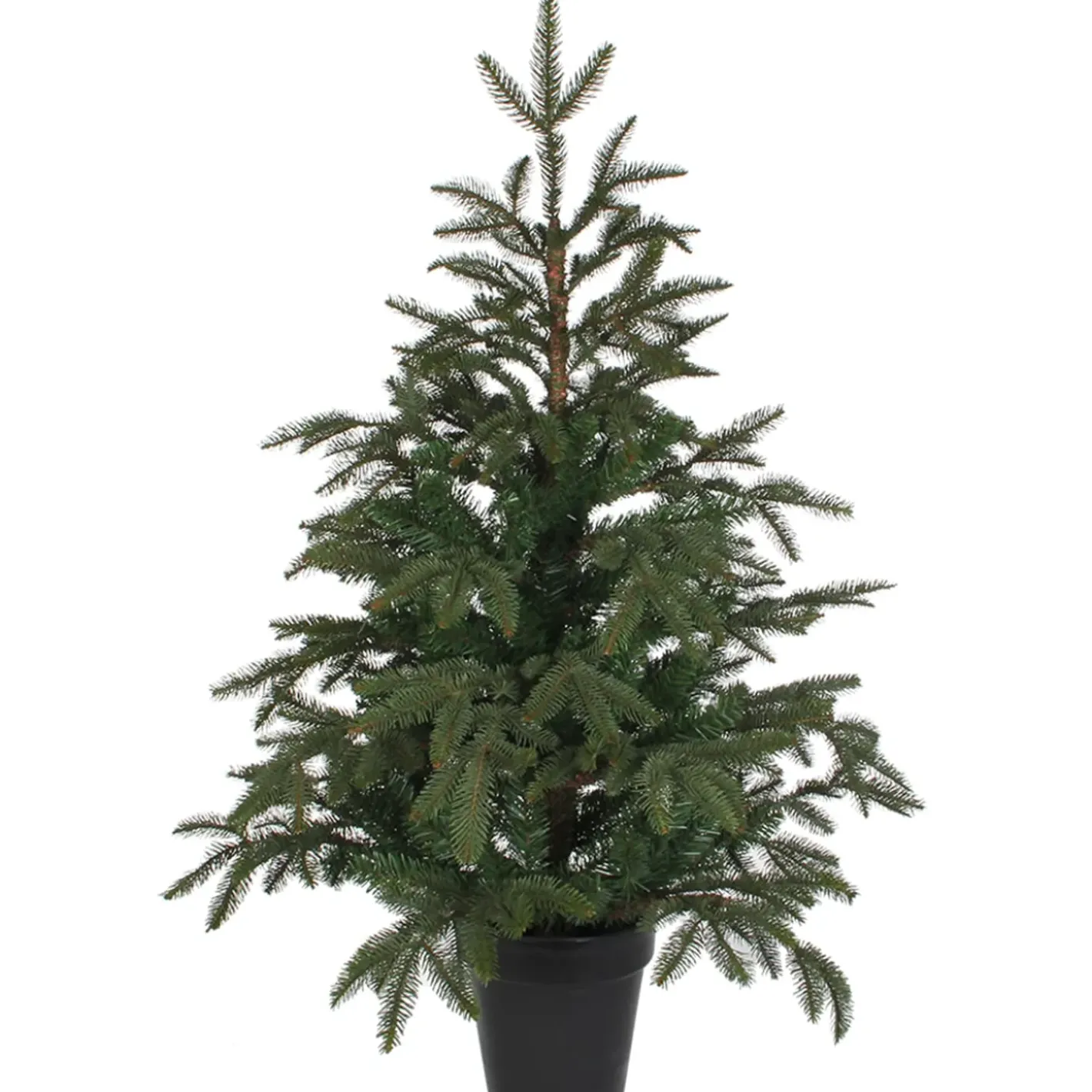 Käthe Wohlfahrt Baum Frasier Fir Grun, 100 Cm Sale