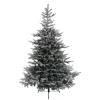 Käthe Wohlfahrt Baum Grandis Fir Beschneit, 150 Cm Best