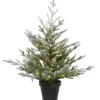 Käthe Wohlfahrt Weihnachtsbaum Im Topf, Mit Led Beleuchtung, 75 Cm New